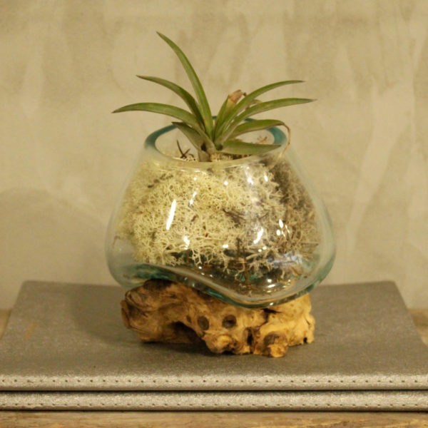 Molten Glass on Wood