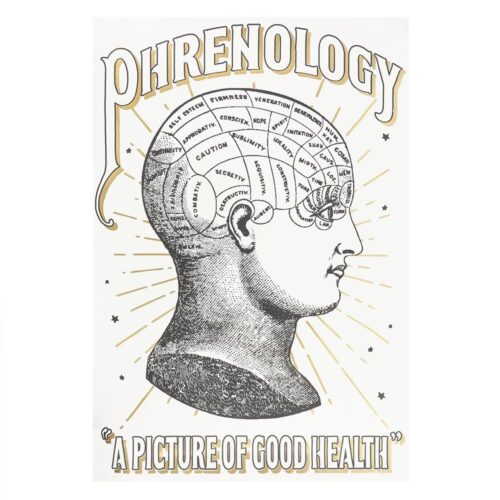 phrenology poster