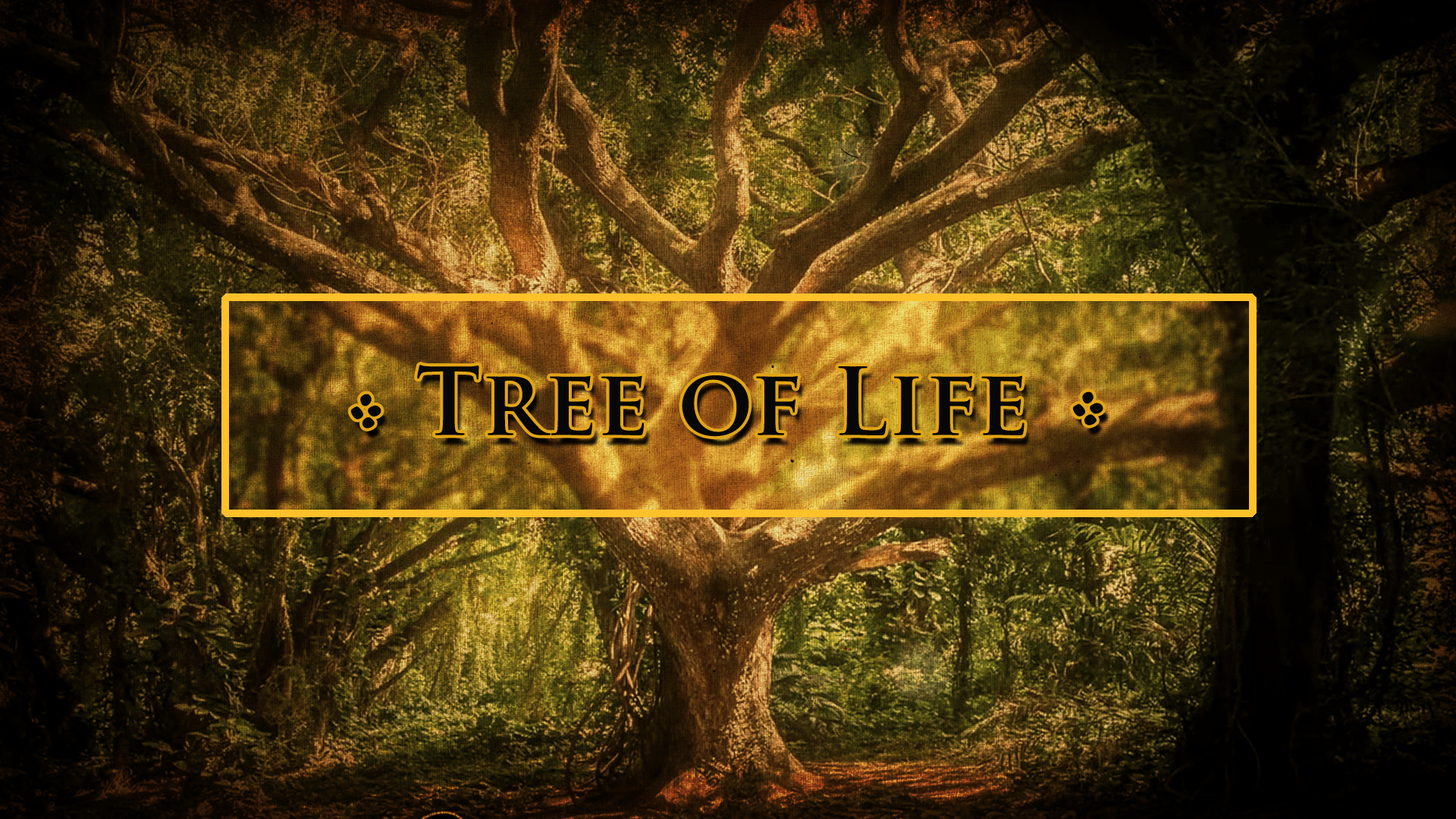 tree of life products