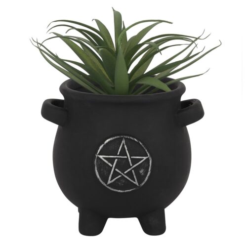 pentagram plant pot