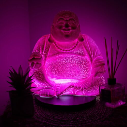 Laughing Buddha Lamp Dragonfruit - Round Stand