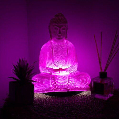 pink buddha lamp