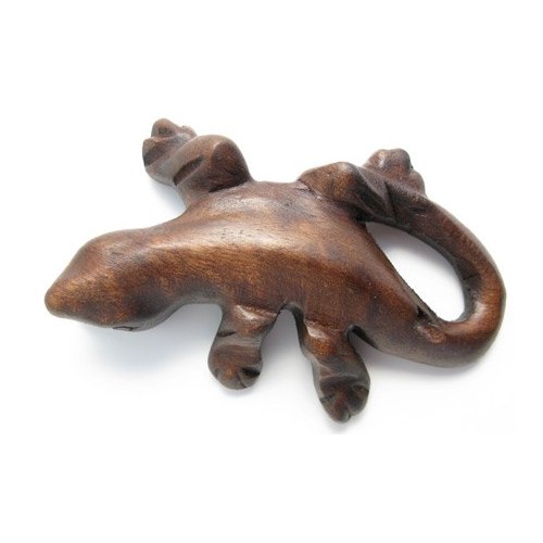 noisy gecko instrument