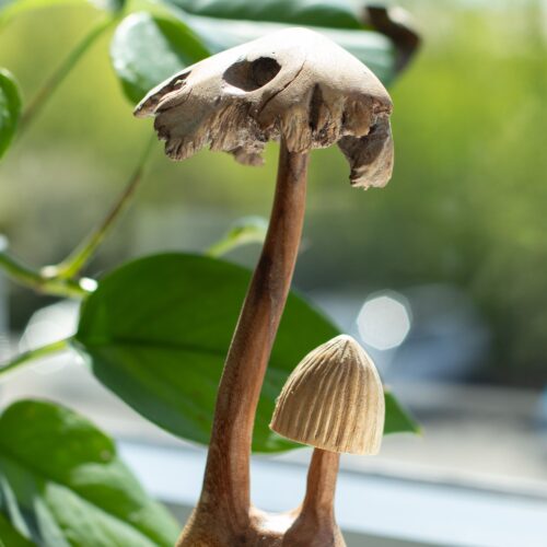 Handmade Parasite Wood Art Carving - Set of Two Mushoorms
